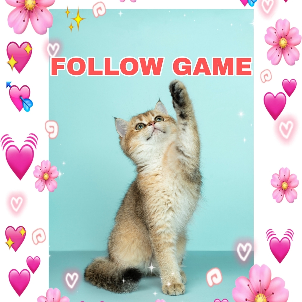 🥰 My First Follow Game. 🥰